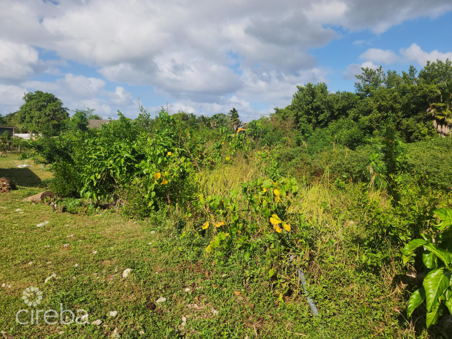 Midland Acres House Lot - Bring Offers!