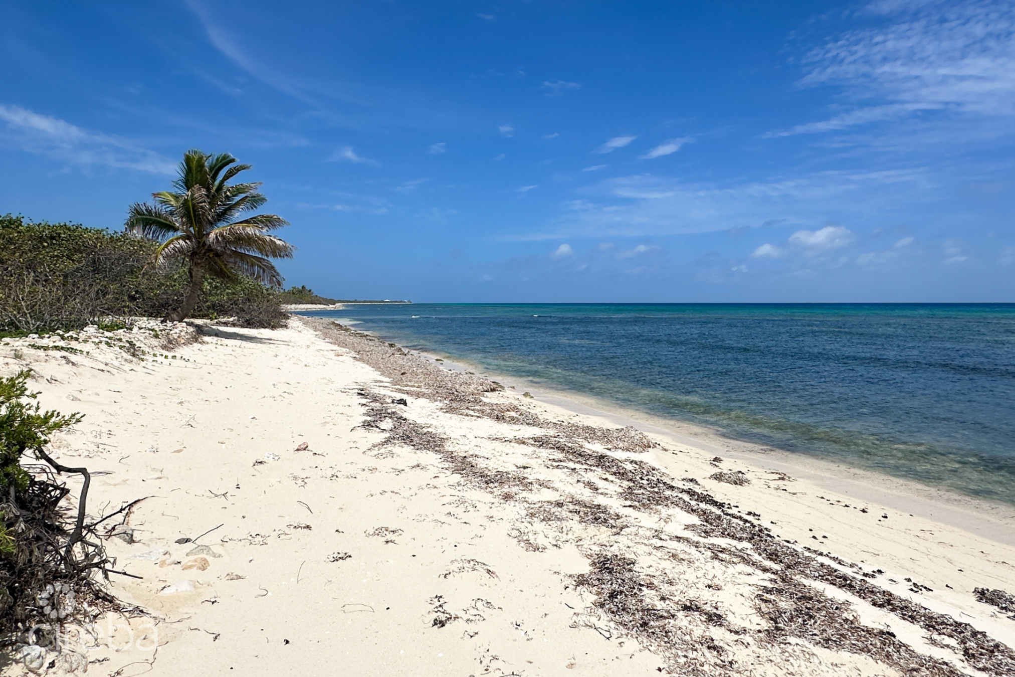 Ocean Front Land Little Cayman
