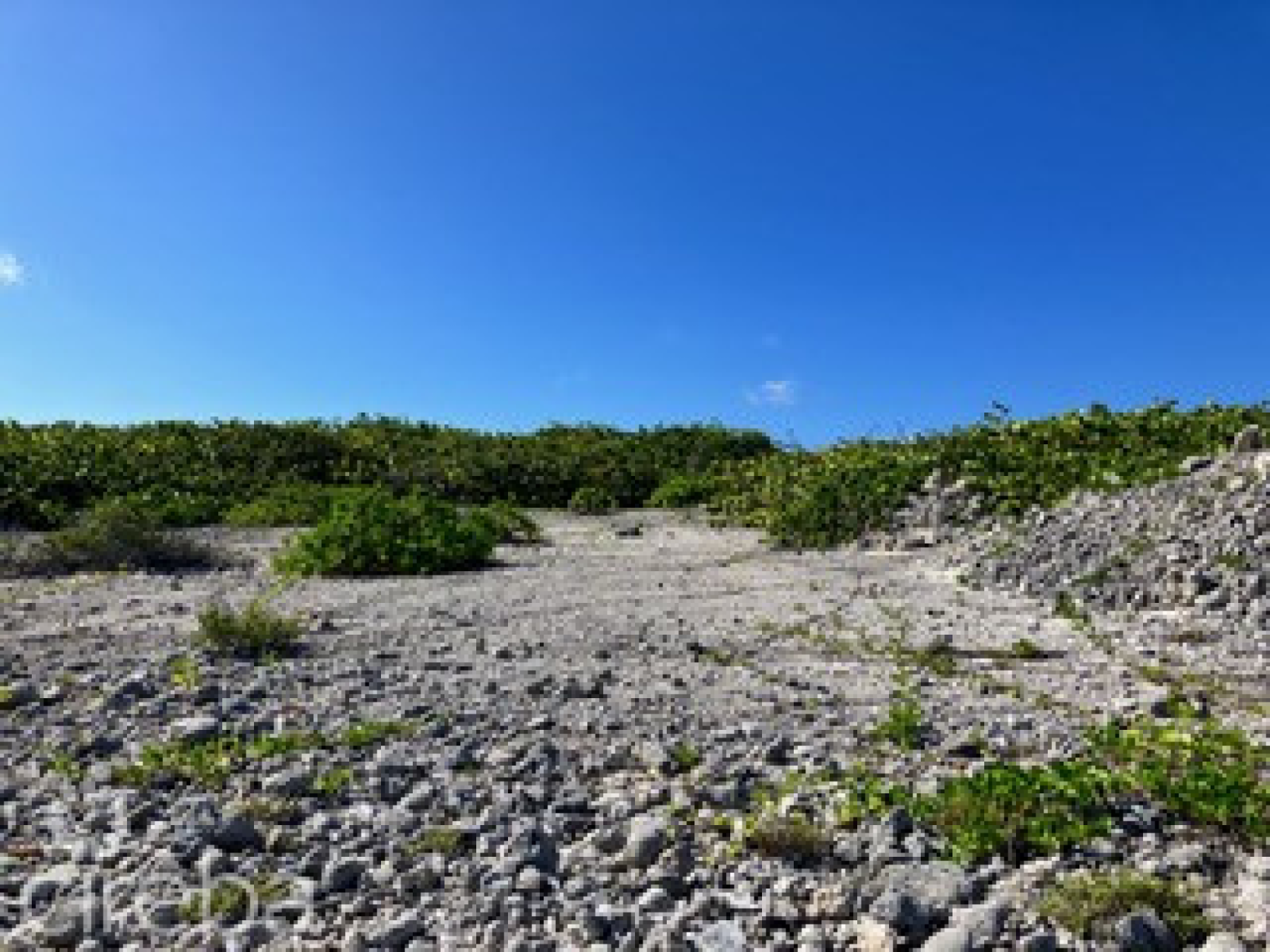 Pre-Constructed Seaglass Villa Oceanfront Land