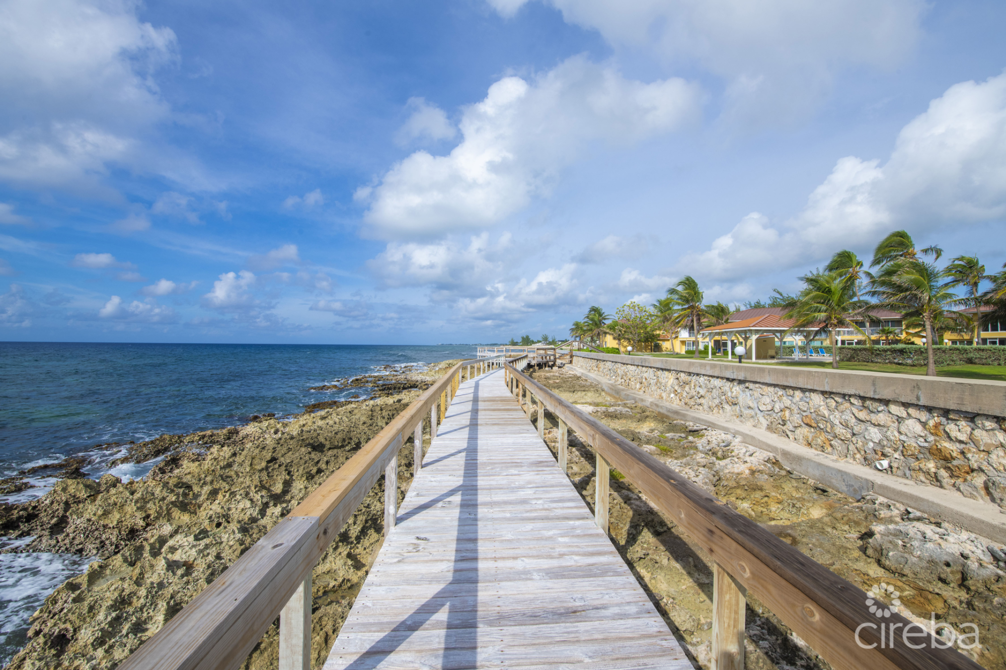 Ocean Club - Renovated 2 Bed/2.5Bath Corner Unit