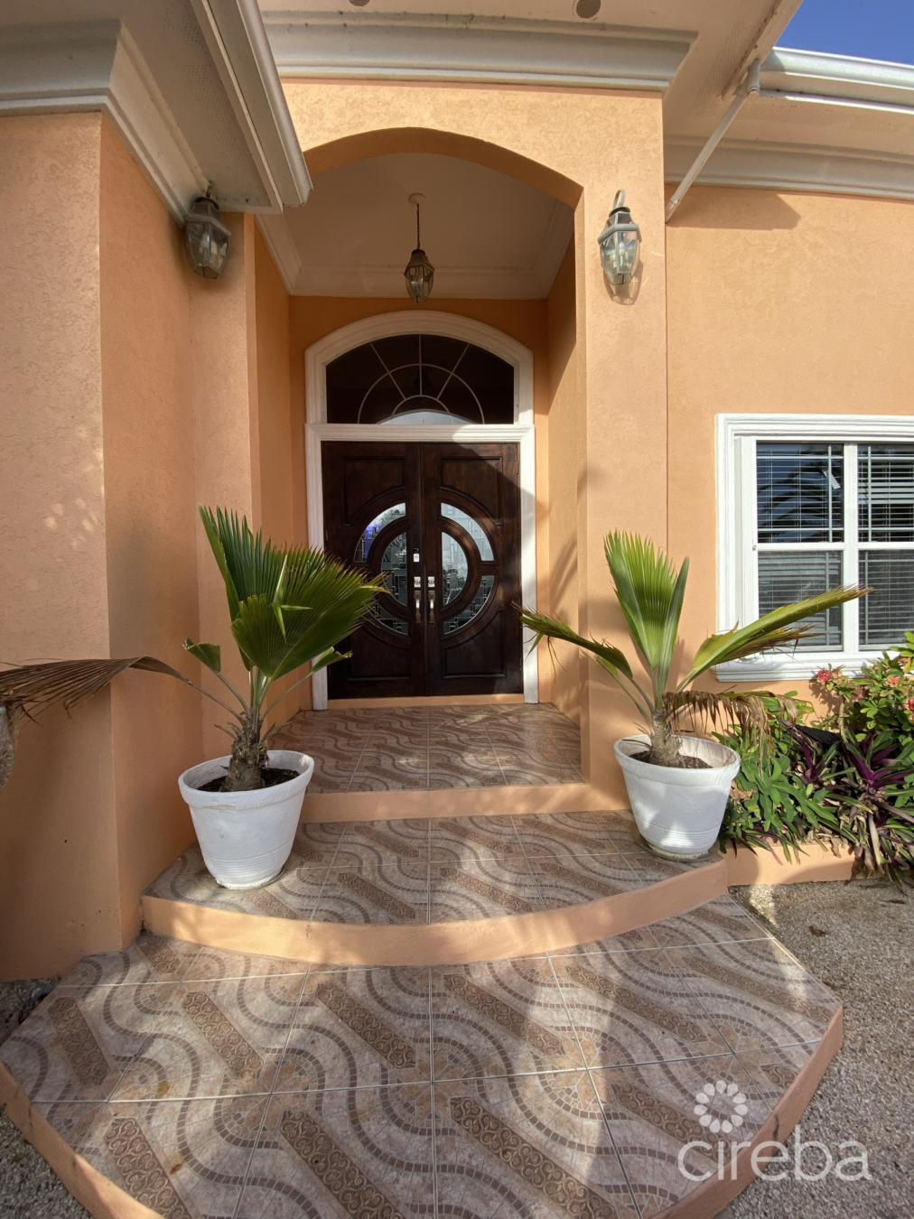 Paradise Palms
