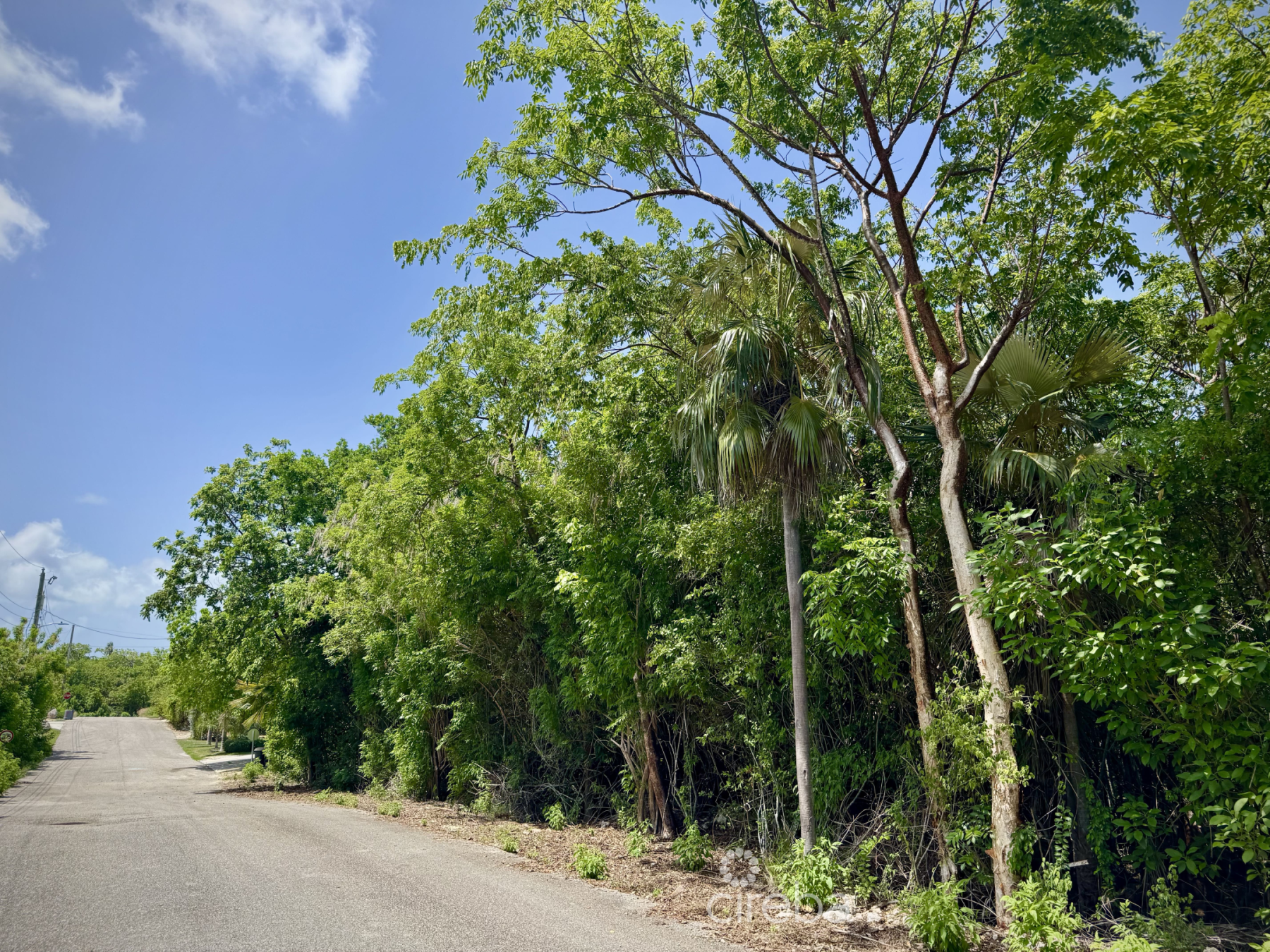 Oversized Lot - Beach Bay - Nature's Circle