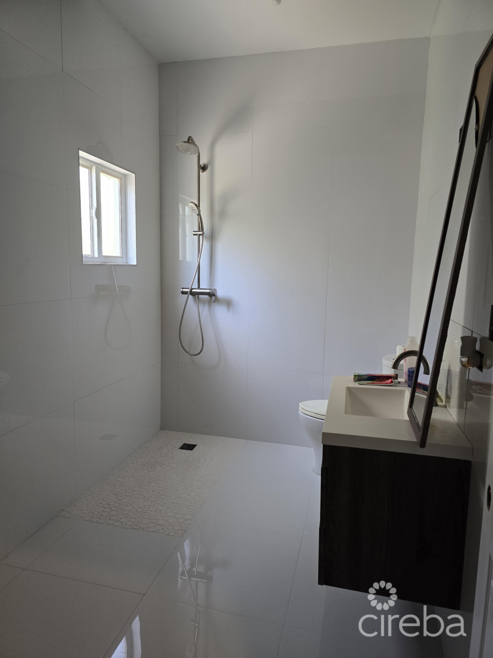 Pedro Home Or Investment Property - Motivated Seller